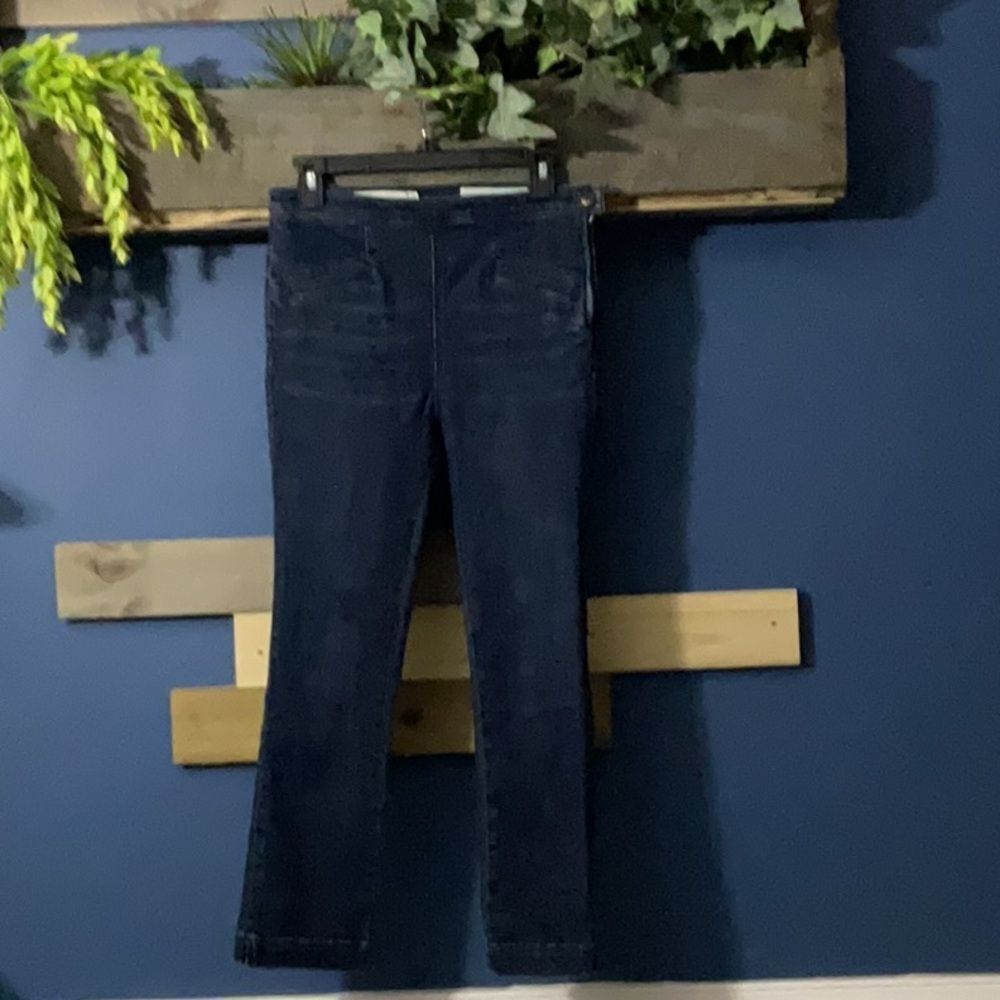 Pilcro (Anthropologie) HR Denim Leggings. Size 27. EUC